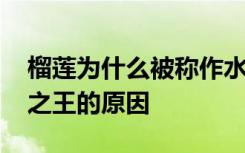 榴莲为什么被称作水果之王 榴莲被称作水果之王的原因