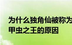 为什么独角仙被称为甲虫之王 独角仙被称为甲虫之王的原因