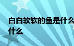 白白软软的鱼是什么鱼 白白软软的鱼指的是什么