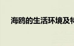 海鸥的生活环境及特点 关于海鸥的介绍