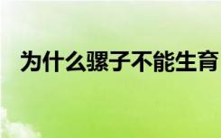 为什么骡子不能生育 骡子不能生育为什么