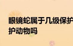 眼镜蛇属于几级保护动物 眼镜蛇属于二级保护动物吗