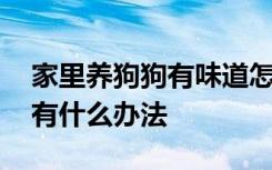 家里养狗狗有味道怎么办 家里养狗狗有味道有什么办法