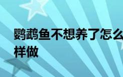 鹦鹉鱼不想养了怎么办 鹦鹉鱼不想养了要怎样做