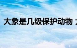 大象是几级保护动物 大象是多少级保护动物