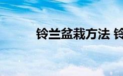 铃兰盆栽方法 铃兰盆栽方法介绍