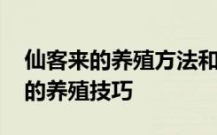 仙客来的养殖方法和注意事项及花期 仙客来的养殖技巧