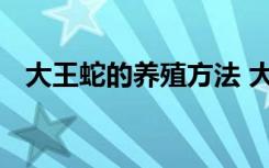 大王蛇的养殖方法 大王蛇的养殖方法介绍