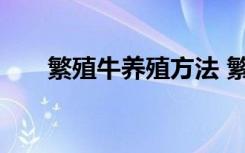 繁殖牛养殖方法 繁殖牛养殖方法介绍