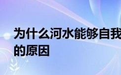 为什么河水能够自我净化 河水能够自我净化的原因