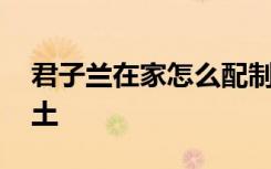 君子兰在家怎么配制土 君子兰在家如何配制土