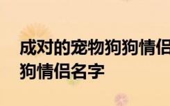 成对的宠物狗狗情侣名字 关于成对的宠物狗狗情侣名字