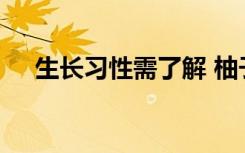 生长习性需了解 柚子的生长习性要了解