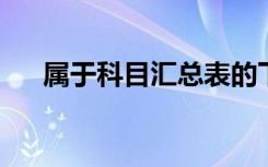 属于科目汇总表的下列项目汇总范围为