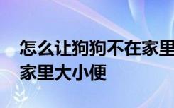 怎么让狗狗不在家里大小便 如何让狗狗不在家里大小便