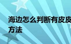 海边怎么判断有皮皮虾 海边判断有皮皮虾的方法