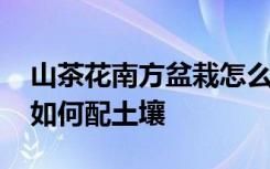 山茶花南方盆栽怎么配土壤 山茶花南方盆栽如何配土壤