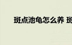 斑点池龟怎么养 斑点池龟的养殖方法