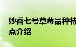 妙香七号草莓品种特点 妙香七号草莓品种特点介绍