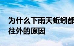 为什么下雨天蚯蚓都要往外 下雨天蚯蚓都要往外的原因