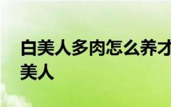 白美人多肉怎么养才长得好 如何养殖多肉白美人