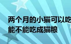 两个月的小猫可以吃成猫粮吗 两个月的小猫能不能吃成猫粮