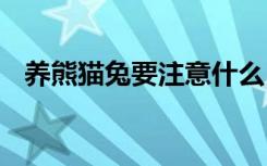 养熊猫兔要注意什么 养熊猫兔要注意事项