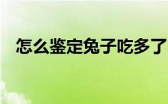 怎么鉴定兔子吃多了 如何鉴定兔子吃多了