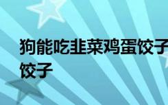狗能吃韭菜鸡蛋饺子吗 狗能不能吃韭菜鸡蛋饺子