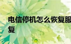 电信停机怎么恢复服务人员 电信停机怎么恢复