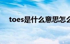 toes是什么意思怎么读 toes是什么意思