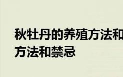 秋牡丹的养殖方法和注意事项 养护秋牡丹的方法和禁忌