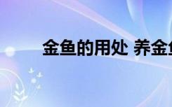 金鱼的用处 养金鱼有哪些保健作用