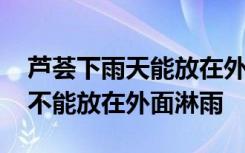 芦荟下雨天能放在外面淋雨吗 芦荟下雨天能不能放在外面淋雨