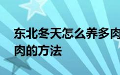 东北冬天怎么养多肉才长得好 东北冬天养多肉的方法