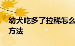 幼犬吃多了拉稀怎么办 幼犬吃多了拉稀处理方法