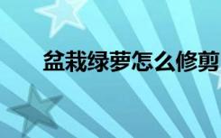 盆栽绿萝怎么修剪 盆栽绿萝如何修剪