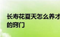 长寿花夏天怎么养才长得好 夏季养殖长寿花的窍门