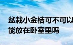 盆栽小金桔可不可以放在卧室里 盆栽小金桔能放在卧室里吗