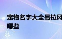 宠物名字大全最拉风 宠物名字大全最拉风有哪些