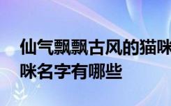 仙气飘飘古风的猫咪名字 仙气飘飘古风的猫咪名字有哪些