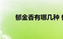 郁金香有哪几种 郁金香有哪些种类