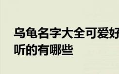 乌龟名字大全可爱好听 乌龟名字大全可爱好听的有哪些