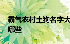 霸气农村土狗名字大全 霸气农村土狗名字有哪些