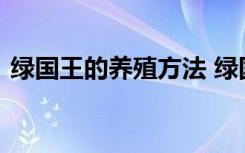 绿国王的养殖方法 绿国王的养殖有什么方法