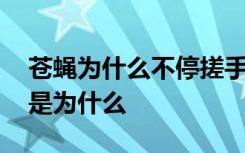 苍蝇为什么不停搓手搓脚 苍蝇不停搓手搓脚是为什么