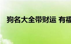 狗名大全带财运 有福气又招财的狗狗名字