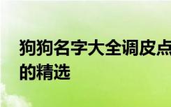 狗狗名字大全调皮点的 狗狗名字大全调皮点的精选