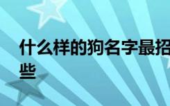 什么样的狗名字最招财 狗的名字最招财有哪些