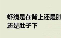 虾线是在背上还是肚子下 虾线到底是在背上还是肚子下